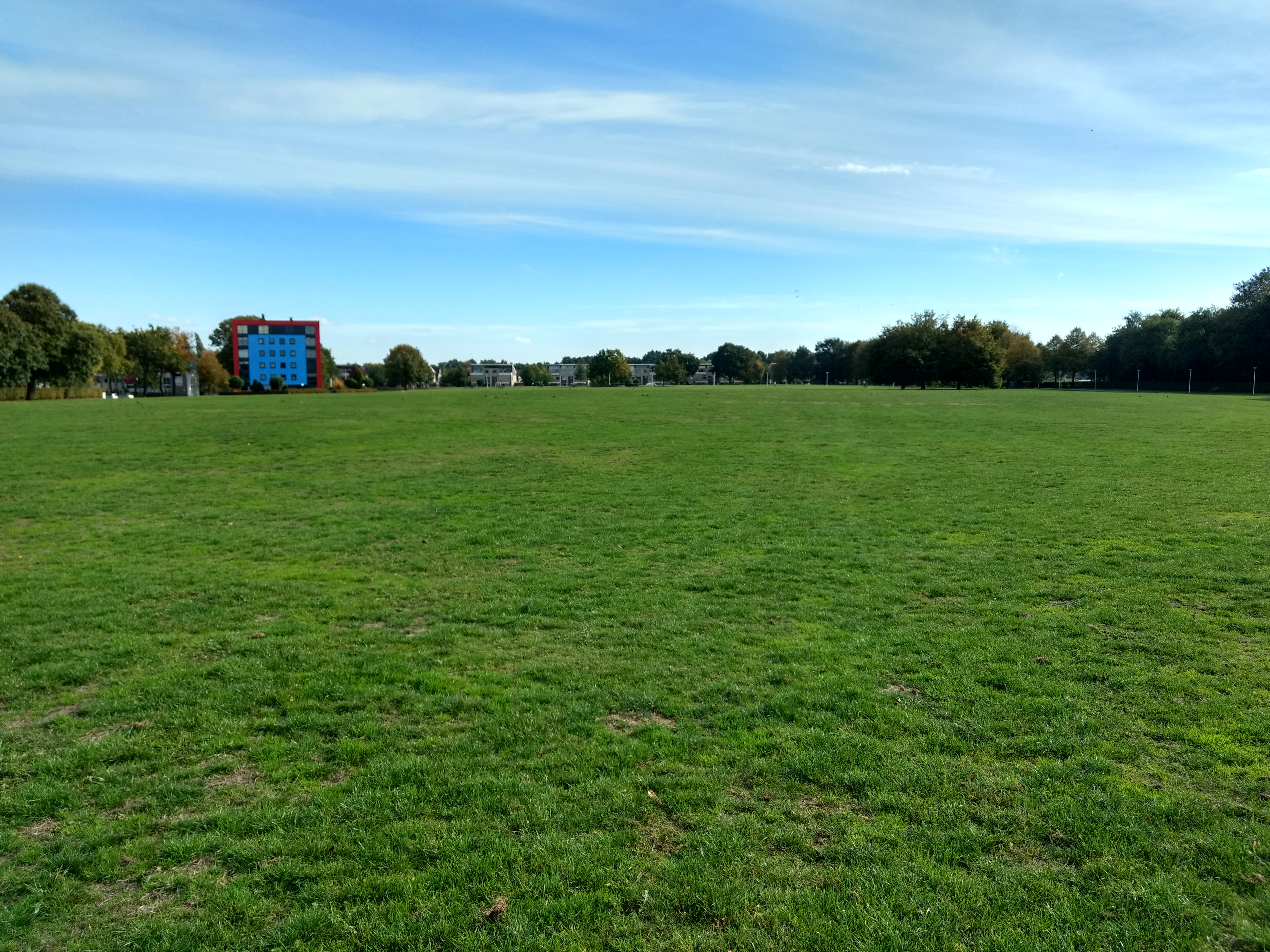 Breek uit: liggen in het gras (3)
