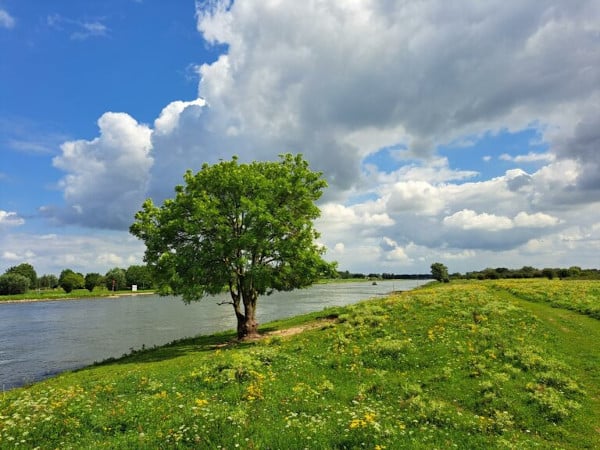 Een nieuw verhaal voor Nederland